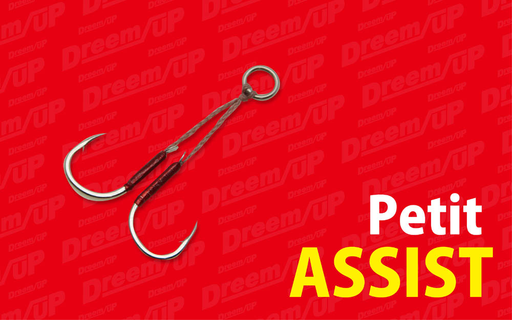 Petit ASSIST – DreemUp