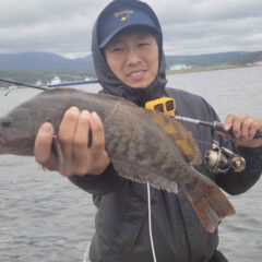 Dreem Con Three 81SF 椿 – DreemUp