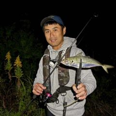 Dreem Con Three 81SF 椿 – DreemUp